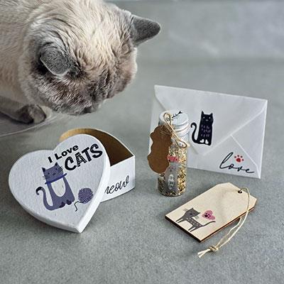 MUCKE S TRANSFER FOLIJO