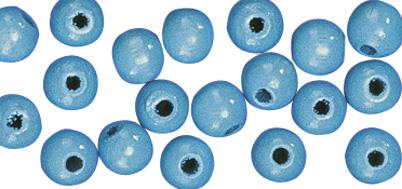 Perle legno FSC 100%, lucidate, 12mm obusta 32pzazzurro