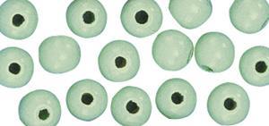 Perle lesene, pološčene, 12mm, sv. zelene, 32 kosov