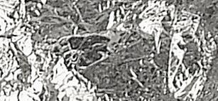 Kosmiči za pozlato, srebrni, 1 gram