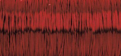 Filo metallico per bigiotteria0,30 mm o, rotolo 50 mrosso