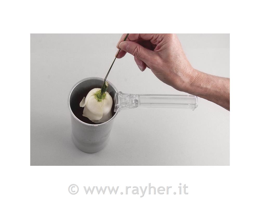 Cera per immersionescatola 290 gincolore