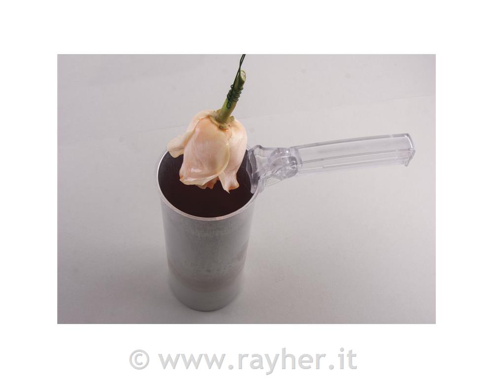 Cera per immersionescatola 290 gincolore