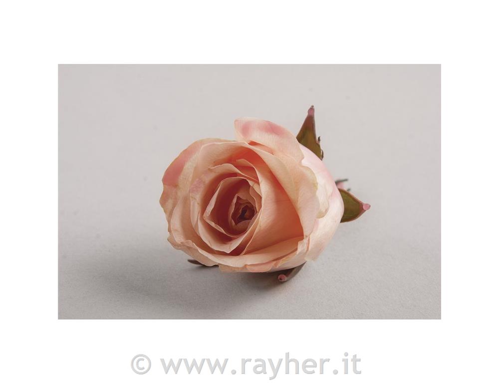 Cera per immersionescatola 290 gincolore