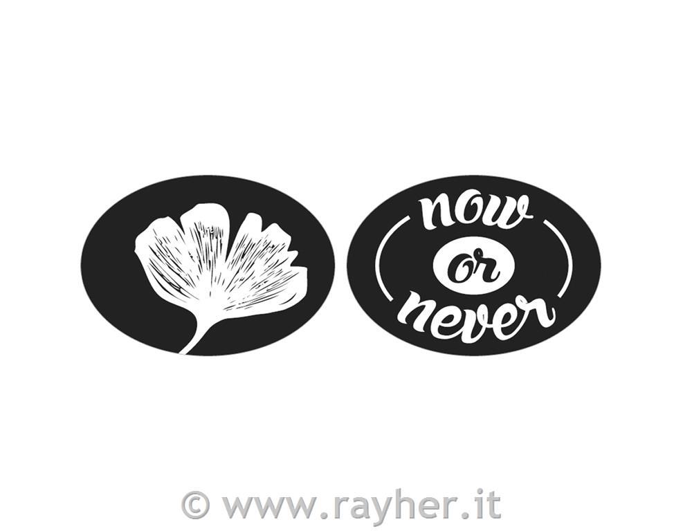 Labels ginkgo "now or never"35x25mm, ovale, bus.blis. 2pz