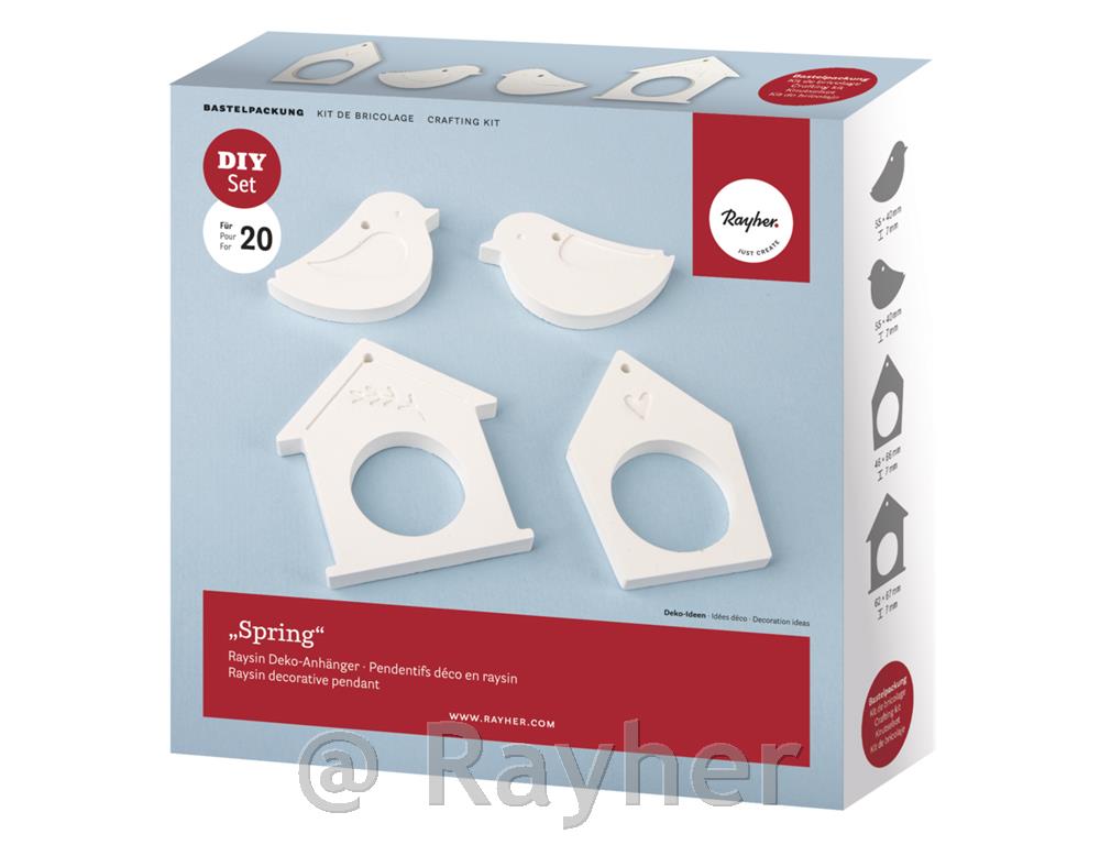 Set creativo, Raysin