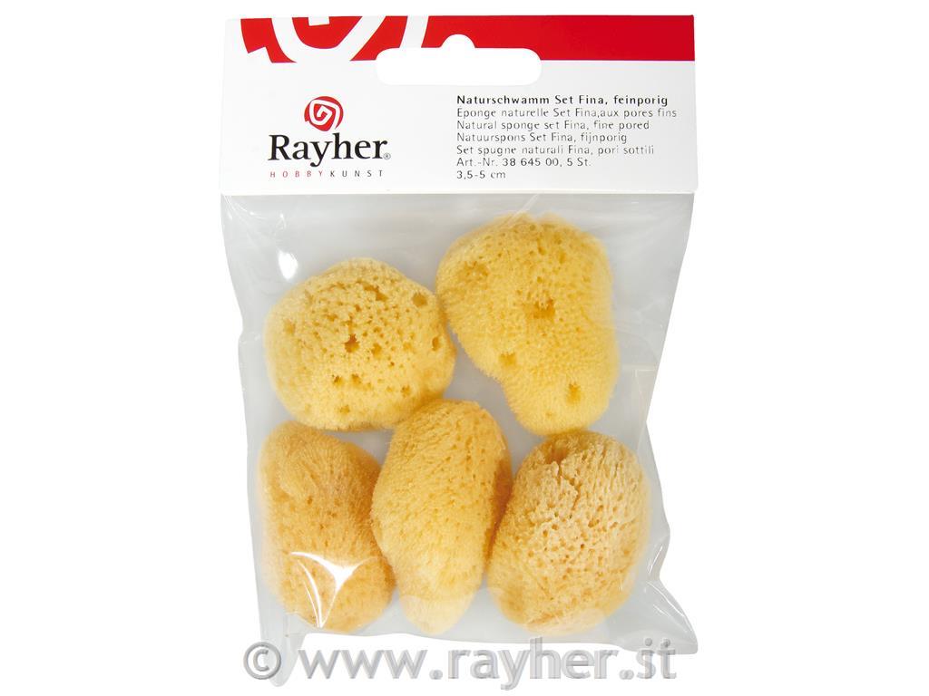 Gobica, 3,5-5 cm, 5 kosov