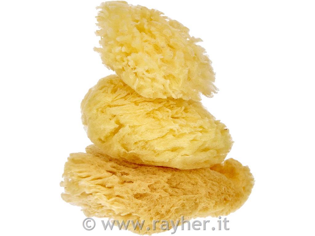Natural sponge set Grass, fine/large por