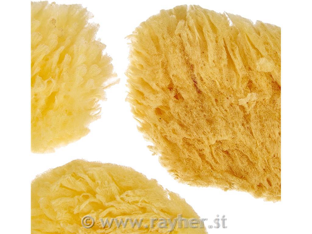 Natural sponge set Grass, fine/large por