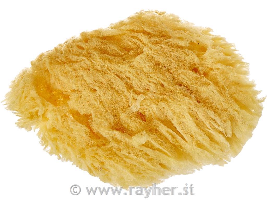 Natural sponge set Grass, fine/large por