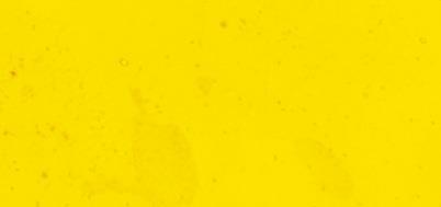 Window-Color "easy paint",flacone 80 mllimone