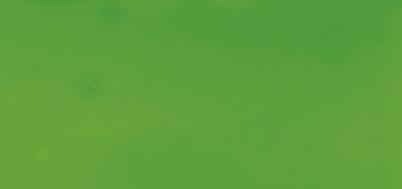 Window-Color "easy paint", evergreen, bo