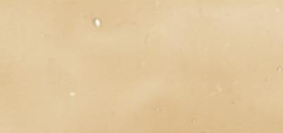 Lepljiva barva za steklo, kožna, 80 ml