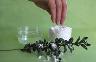 Neve aderente decobus.blis. 50g