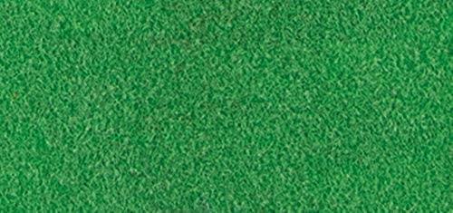 Žametni puder, zelen, 8g