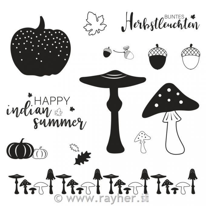 Timbro frutti autunnali 13 motivi