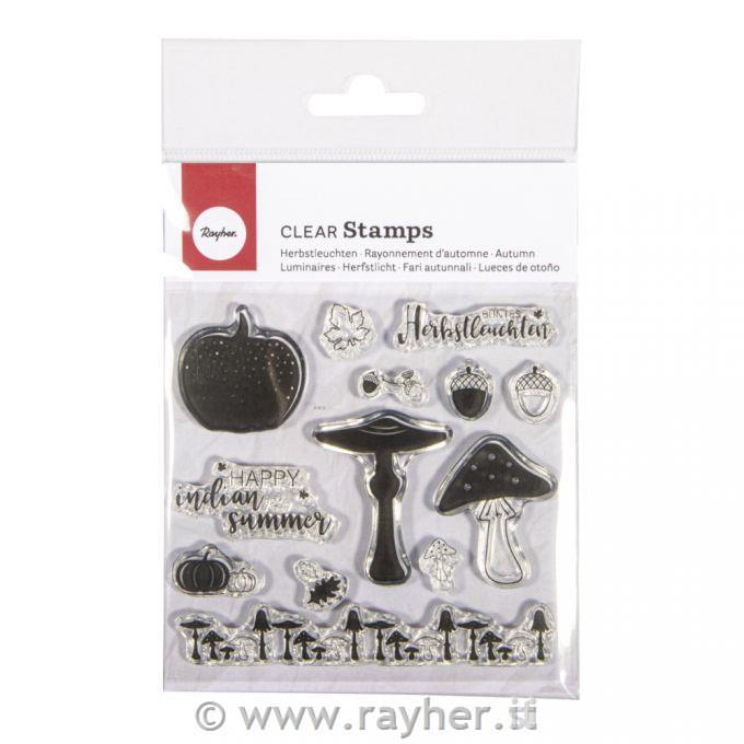 Timbro frutti autunnali 13 motivi