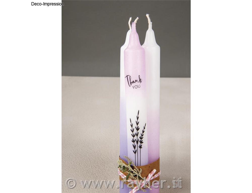 Timbri Botanical, 30 motivi