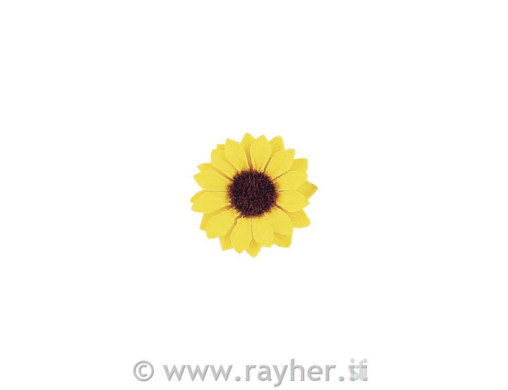 Boccioli di girasoli, 3,5 cmbusta 12 pz