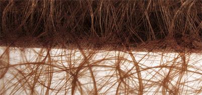 Carta seta moderna30cm, rot. 25mmarrone scuro