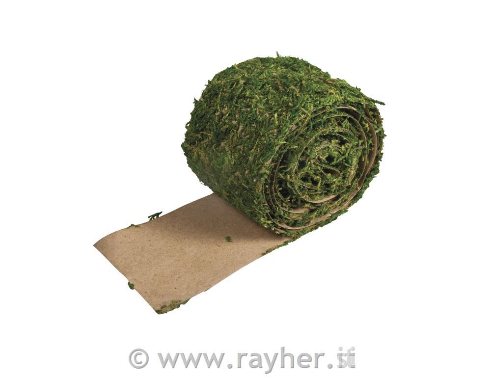 Nastro muschiolargo 5 cm, lungo 200 cm