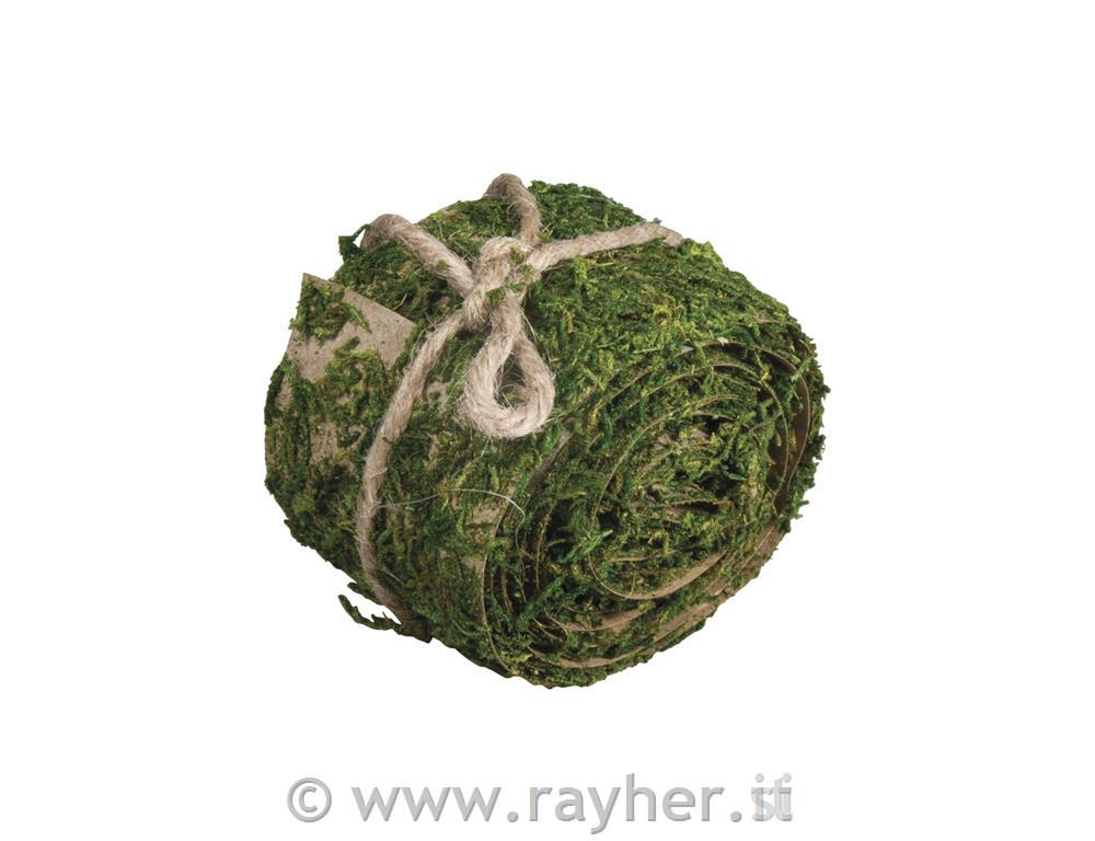 Nastro muschiolargo 5 cm, lungo 200 cm