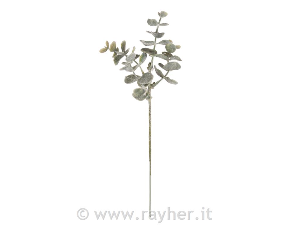 Frosted book-twig, 20cm