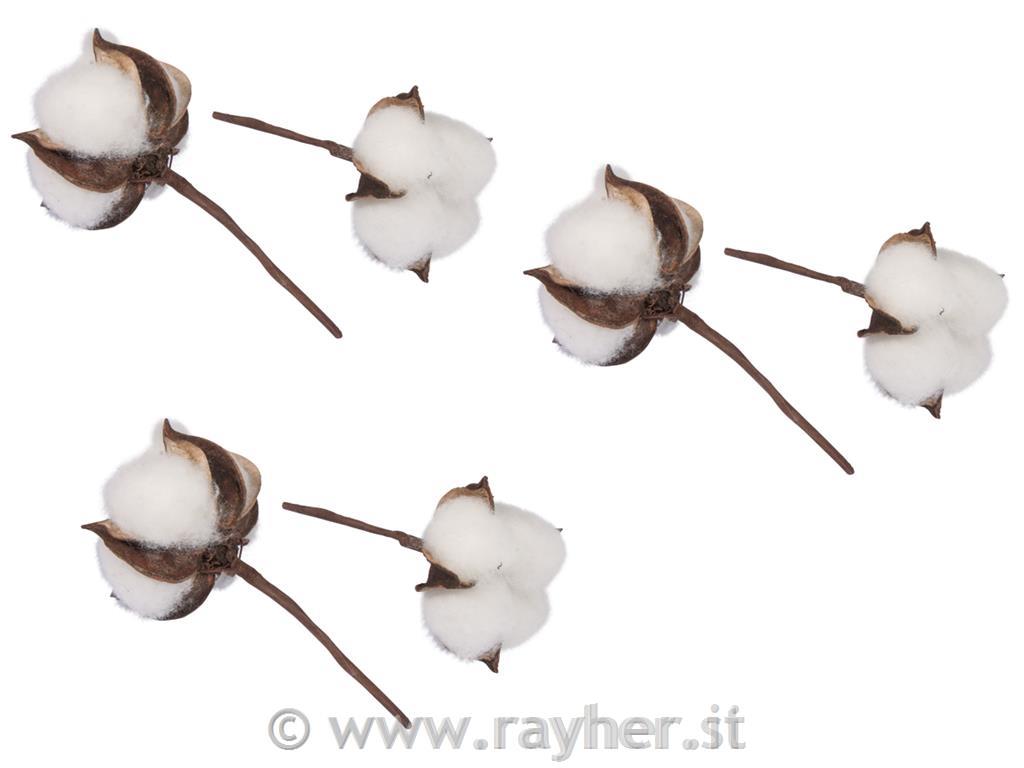 Rametto fiori del cotone, 6cm o, 10cmox PVC 6pz