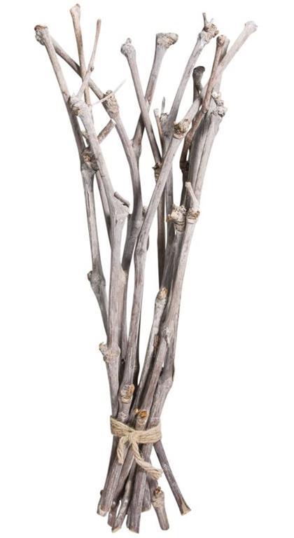 Fascio vigneti, 40cm, fascio 12pz