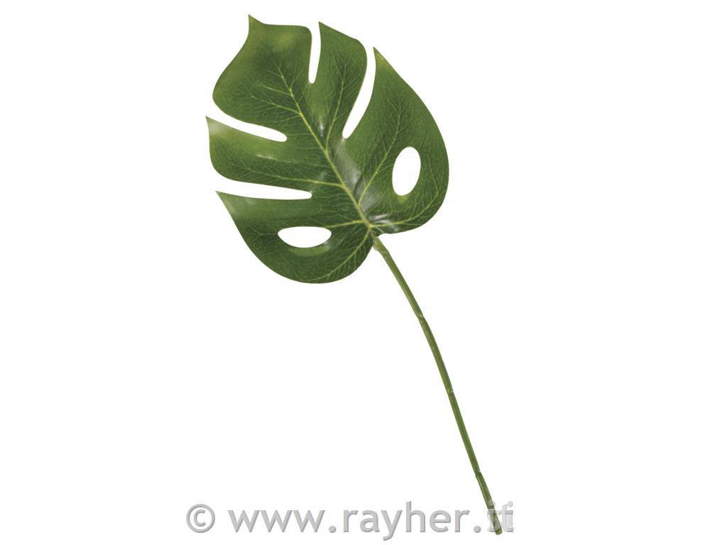 Foglia monstera, 8x21,5cm, bus.blis. 3pz