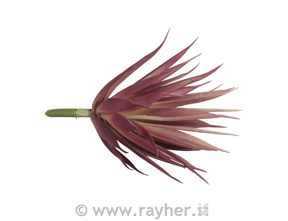 Rastlina "Yucca", 12x12x19cm, umetna