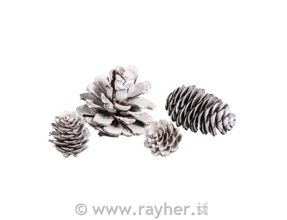 Pigne, bianco, assortito, 2,5-6cm, set 25pz