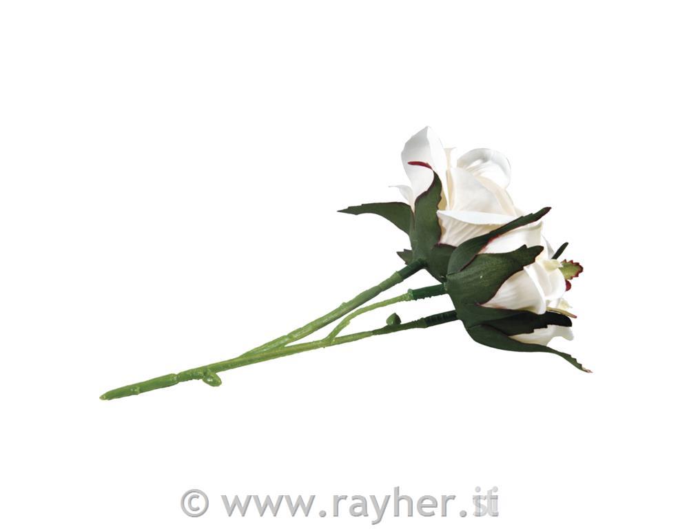 Mazzetto rose, bianco, 15cm, 3 fiori