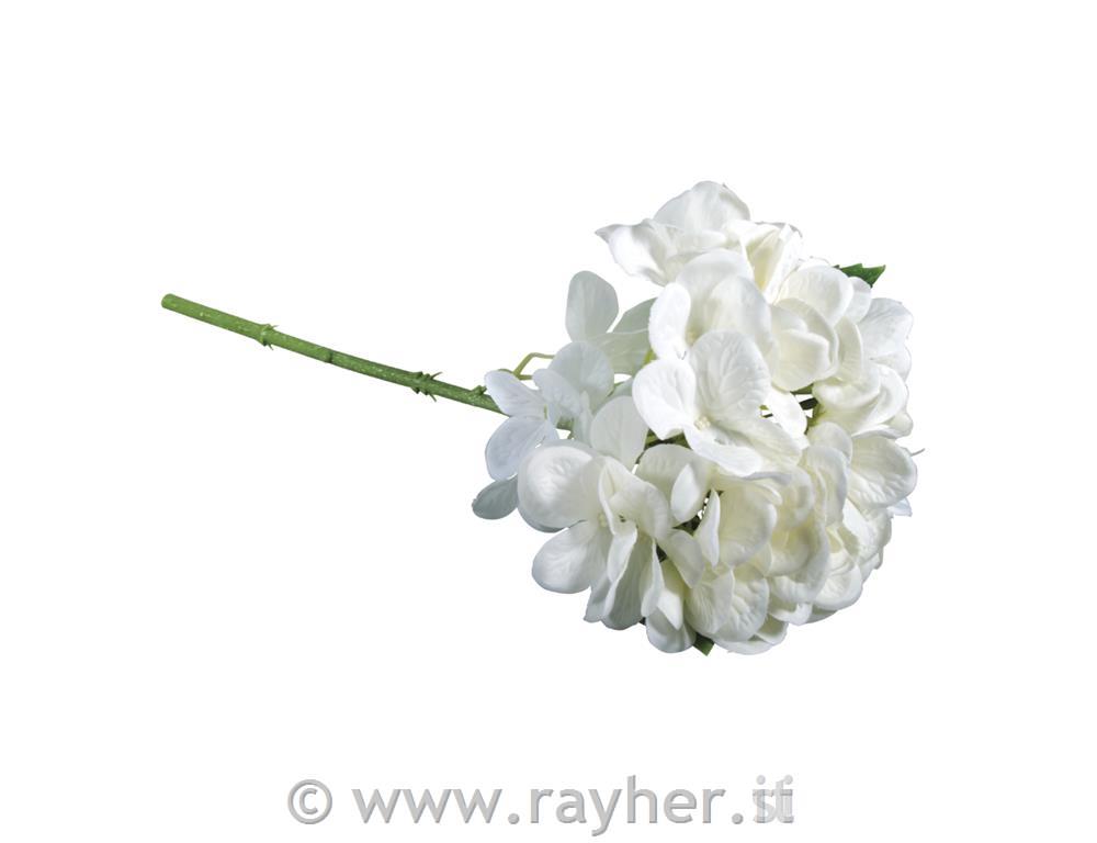 Ortensia, bianca, 33cmOrtensia, bianca, 33cmOrtensia, bianca, 33cm
