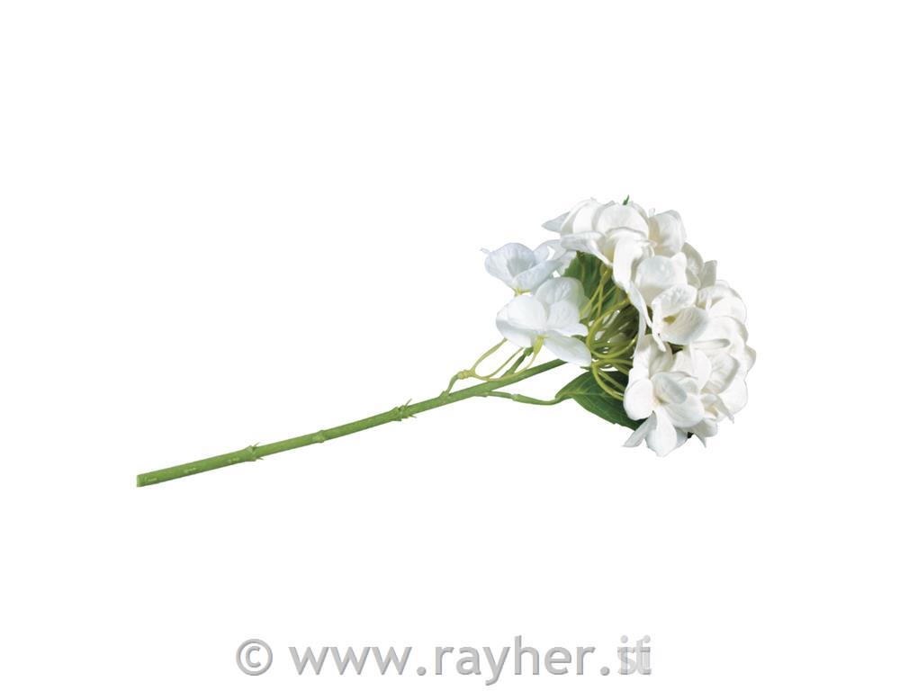 Ortensia, bianca, 33cmOrtensia, bianca, 33cmOrtensia, bianca, 33cm