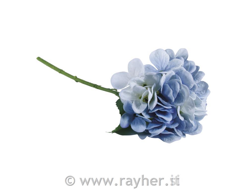 Hortenzija, sv.modra, 33cm