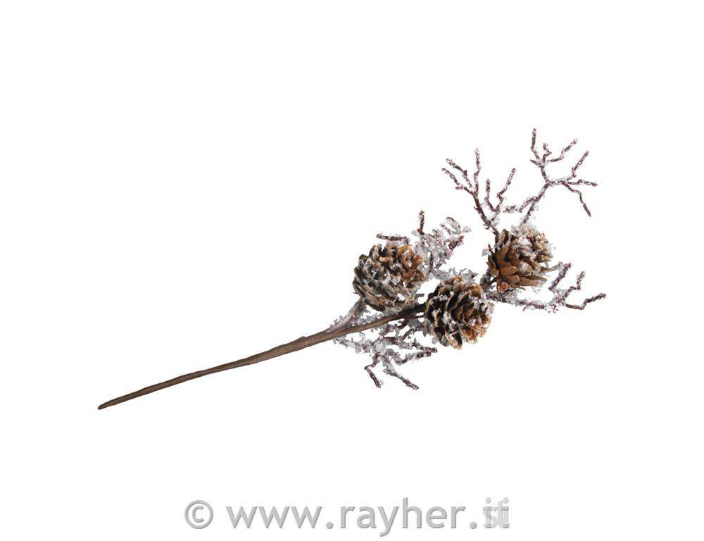 Ramo pigne larice, 26cm