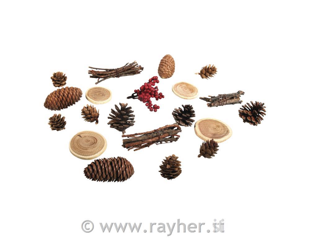 Misto natura con pigne, assortito, 2-6cm, bus.blis. 20pz