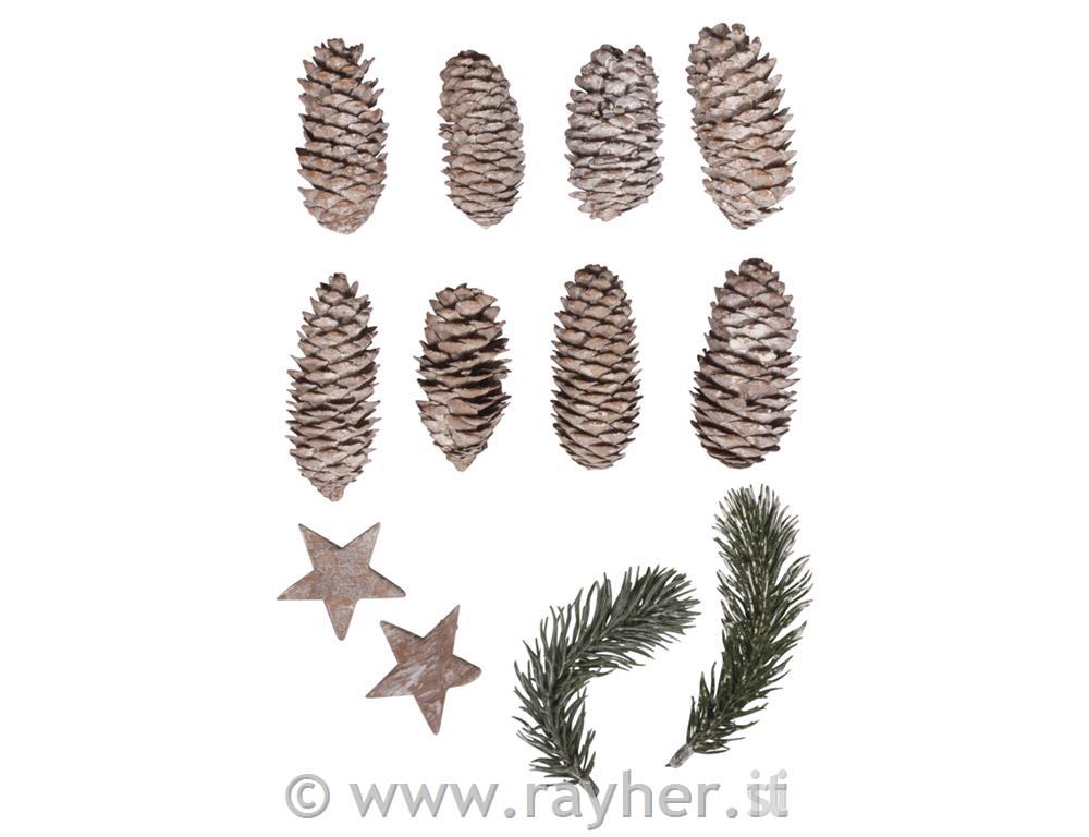 Coni decorativi, ramoscelli, stelle 12 pezzi