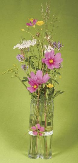 Steklena vaza, 3cm o, višina 16,5cm