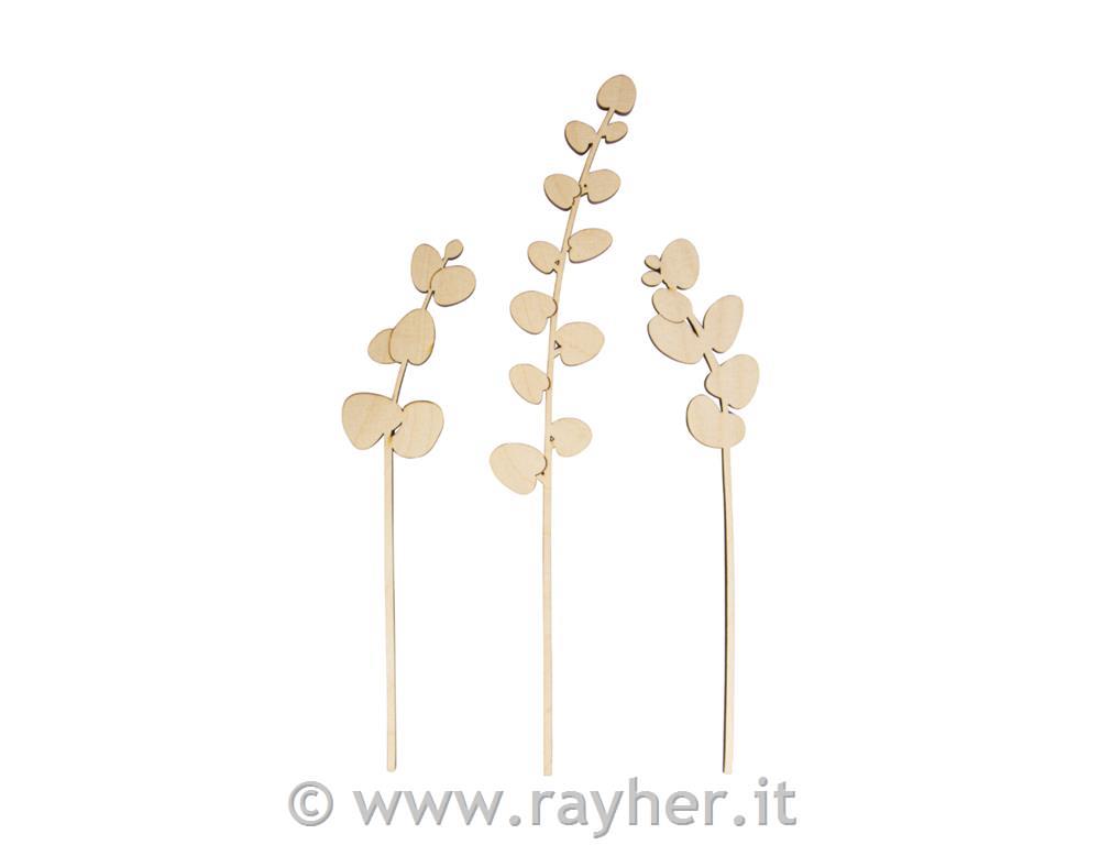 Decorazione in legno, Eucalipto