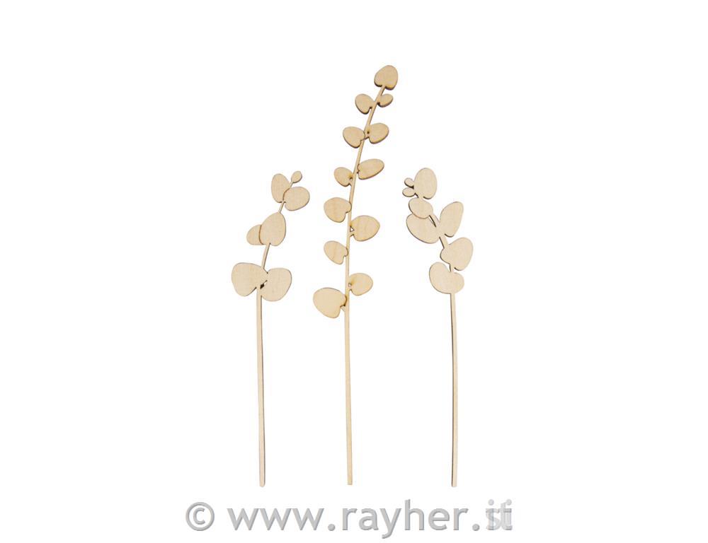 Decorazione in legno, Eucalipto