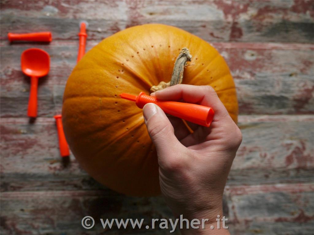 Pumpkin slice - Set, tab-card 5pcs