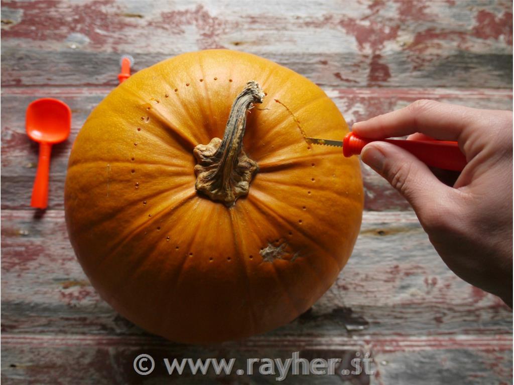 Pumpkin slice - Set, tab-card 5pcs