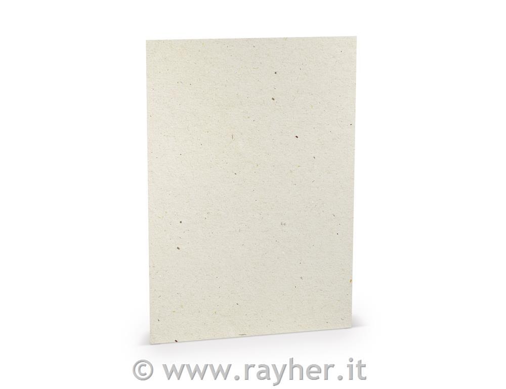Carta A4 100g set 10; vaniglia