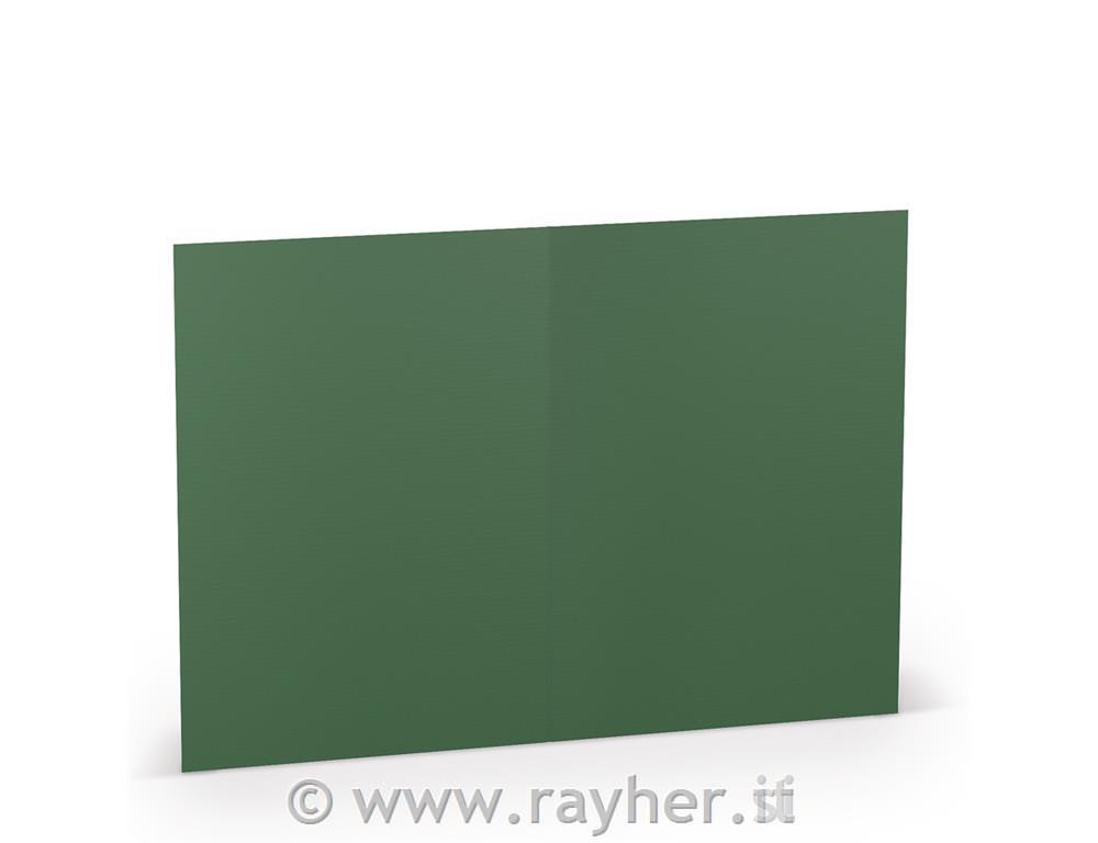 Card B6 120x169mm 220g set 5; fir green