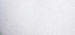 Pompons7 mm, busta 70 pzbianco