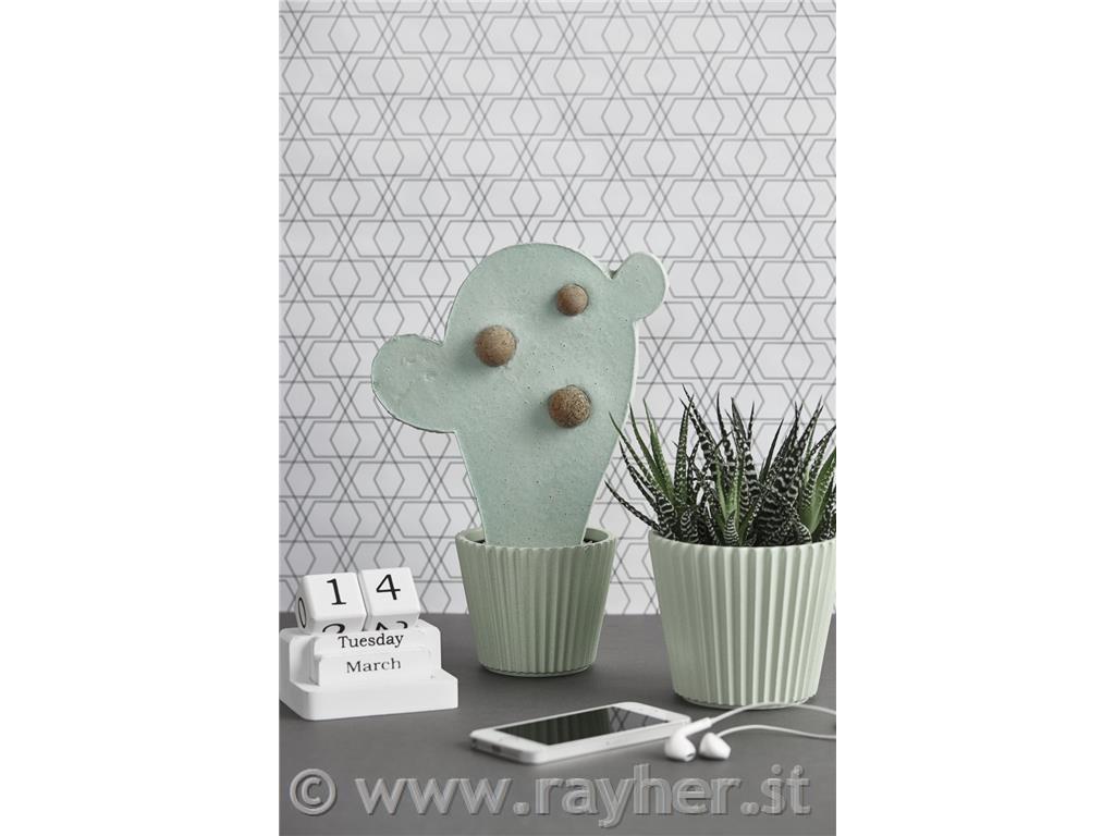 Libro: Kreativ mit Betonsolo in lingua tedesca