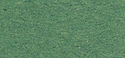 Cartoncino50x70cm, 300g/m2sempreverde