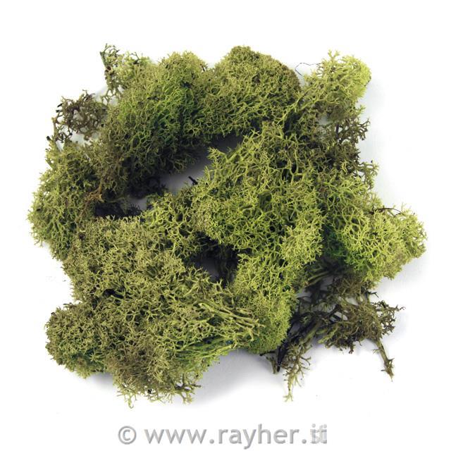 Mah islandski, svetlo zelen, 30 g